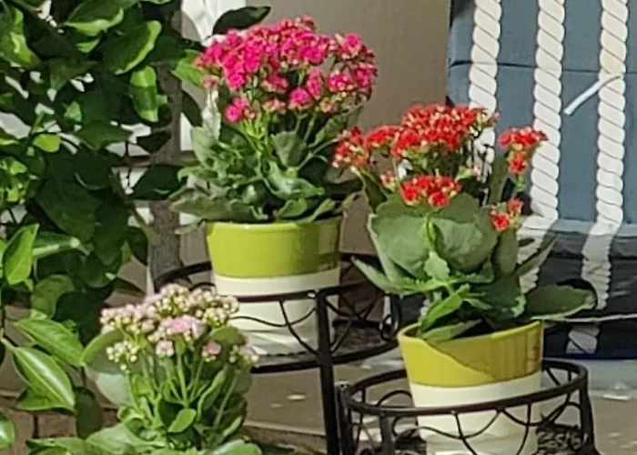 Apartman Katarina Barbat na Rabu